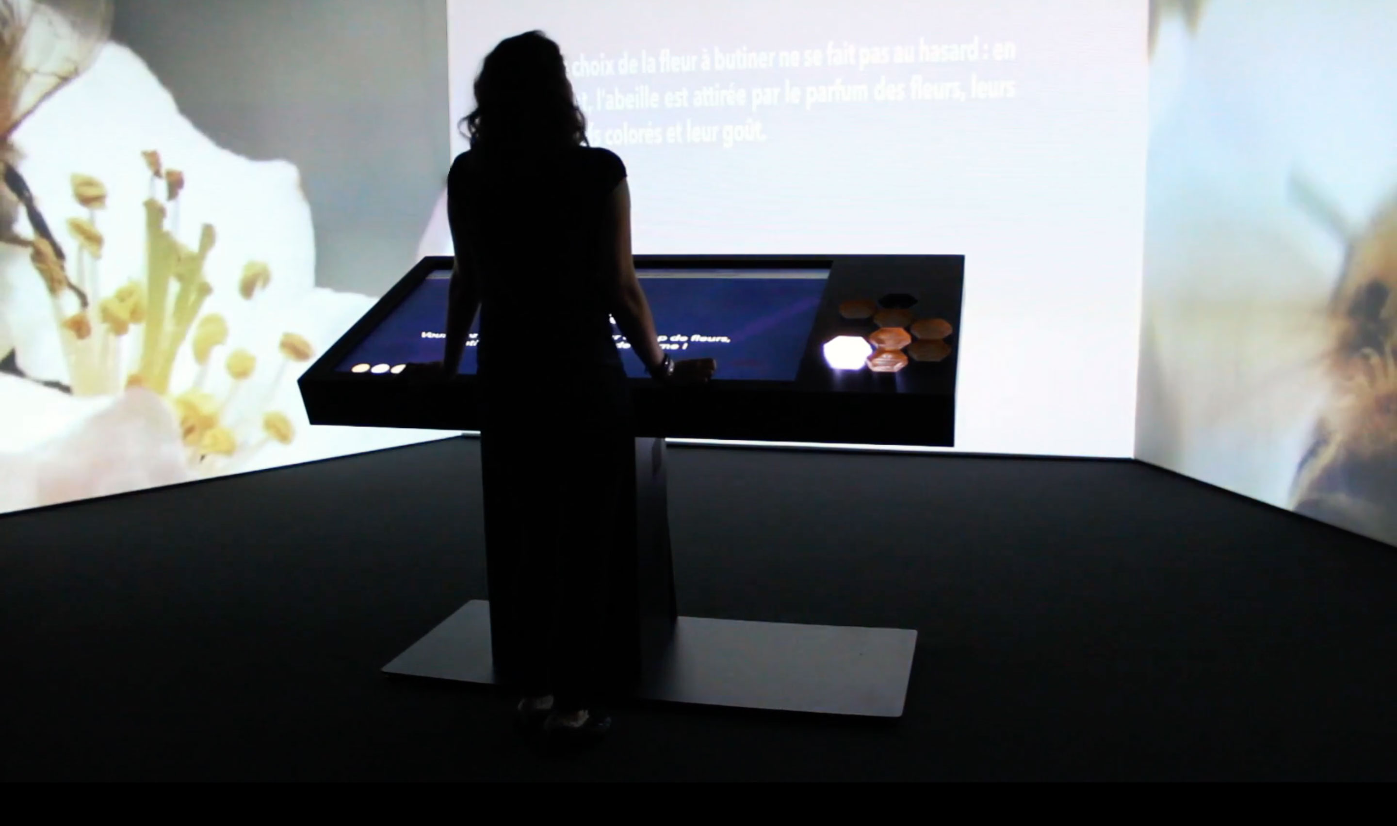 L'image montre une personne debout devant un écran interactif. La silhouette de la personne est visible, mais son visage n'est pas discernable. À l'arrière-plan, on aperçoit une projection sur le mur, probablement avec des informations ou des images de fleurs. Le décor semble sombre, mettant en valeur l'écran lumineux et les projections. L'ensemble crée une ambiance immersive, suggérant peut-être une exposition artistique ou éducative sur les fleurs.