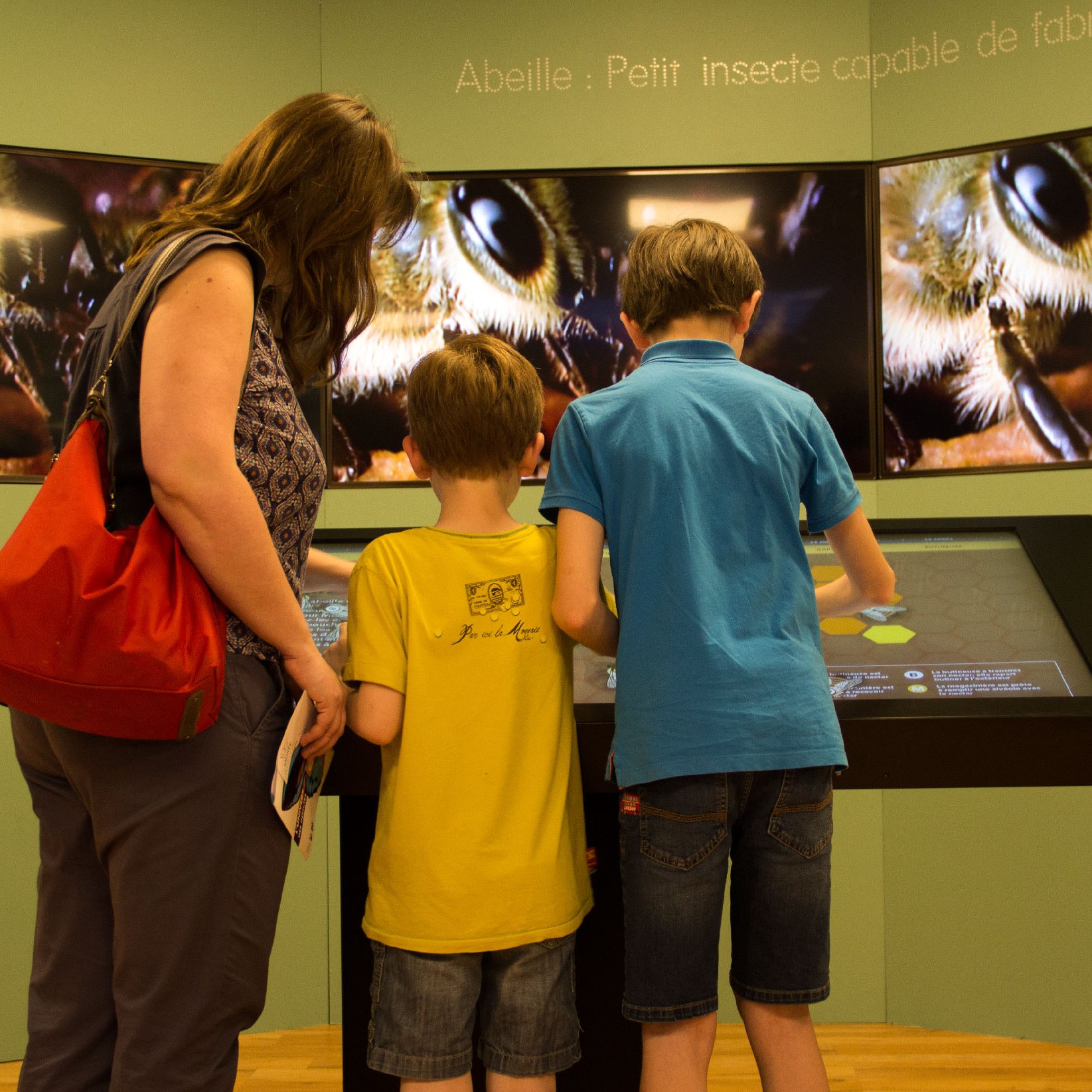L'image montre une femme et deux enfants observant un écran tactile interactif dans un espace éducatif. L'écran présente des images de abeilles, et la femme, qui porte un sac rouge, semble expliquer quelque chose aux enfants. Les garçons, l'un en t-shirt jaune et l'autre en bleu, sont concentrés sur l'interface. L'environnement est lumineux et accueillant, avec des murs de couleur verte et des écrans en arrière-plan qui affichent des close-ups d'abeilles.