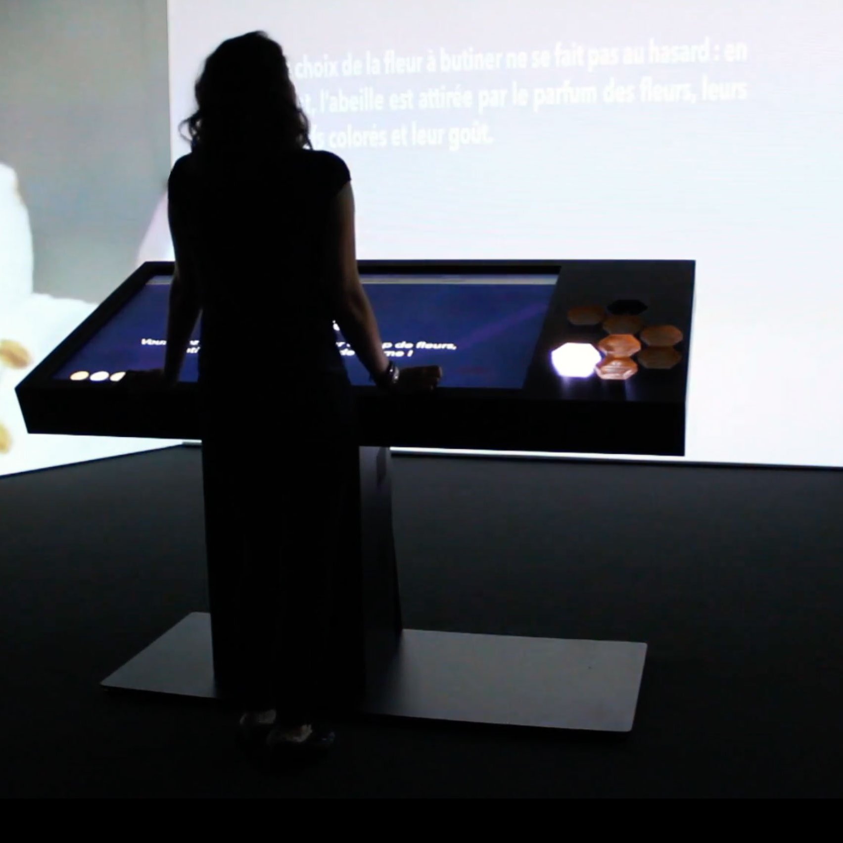 L'image montre une personne debout devant un écran interactif. La silhouette de la personne est visible, mais son visage n'est pas discernable. À l'arrière-plan, on aperçoit une projection sur le mur, probablement avec des informations ou des images de fleurs. Le décor semble sombre, mettant en valeur l'écran lumineux et les projections. L'ensemble crée une ambiance immersive, suggérant peut-être une exposition artistique ou éducative sur les fleurs.