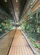 L'image montre un couloir moderne avec des murs en verre et des lattes de bois s'étendant le long du passage. Le reflet des lattes et de la végétation environnante crée une illusion de profondeur. Le sol est en bois, et des plantes vertes ajoutent une touche naturelle à l'espace. La lumière entre harmonieusement à travers les lattes, rendant l'ambiance à la fois contemporaine et accueillante.